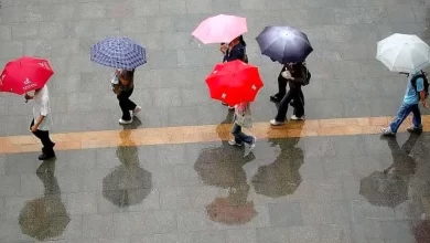 سازمان هواشناسی