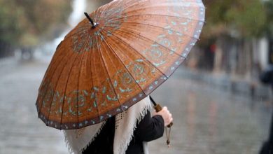 سازمان هواشناسی