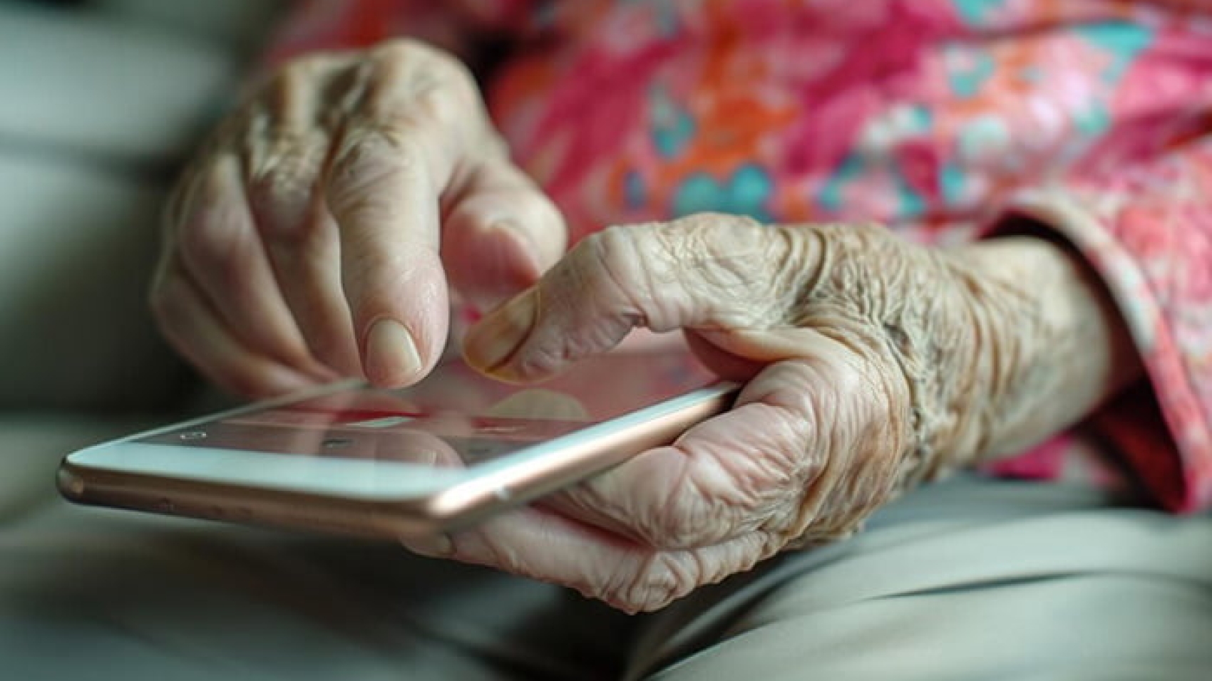 جمعیت سالمندان