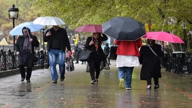 جزئیات سامانه بارشی هفته آینده؛ بارندگی در غرب و شمال کشور پیش‌بینی شد