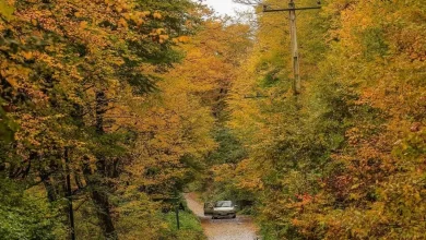 سوادکوه در حالت هشدار