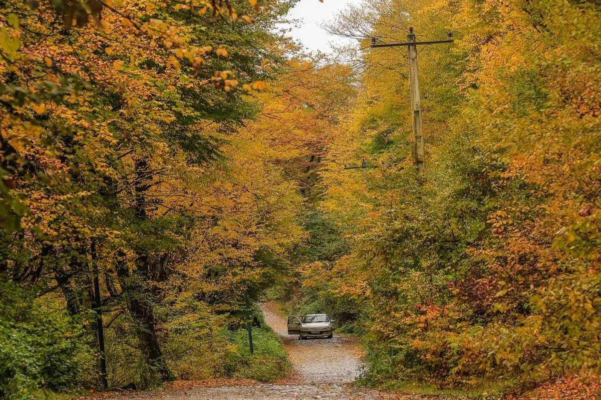 سوادکوه در حالت هشدار