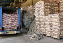 سود ۲۵۰ میلیون دلاری: افشای رقم نجومی رانت در واردات برنج