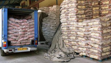 سود ۲۵۰ میلیون دلاری: افشای رقم نجومی رانت در واردات برنج