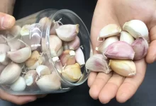 آیا سیر خام واقعاً به کاهش وزن کمک می‌کند؟