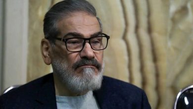 انتشار ویدئوی عروسی دختر شمخانی؛ چه گروه‌هایی در مظان اتهام قرار گرفتند؟