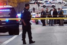 صدور روادید