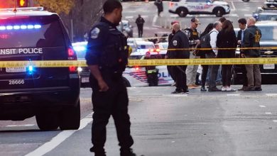 صدور روادید