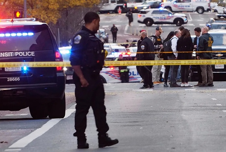 صدور روادید