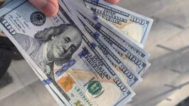 امیدنامه صندوق‌های ارزی هفته آینده ابلاغ می‌شود؛ راهکار بورس برای جذب پس‌اندازهای دلاری خانوارها