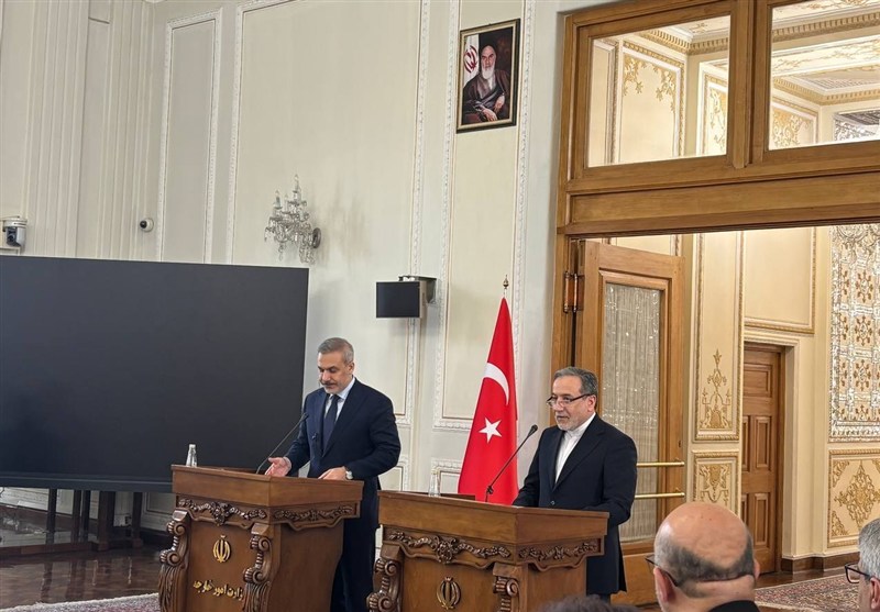 عراقچی و فیدان؛ تاکید بر توسعه همکاریهای انرژی و گازی میان ایران و ترکیه