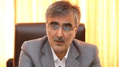 فرزین: آیا بحران تورم محصول سیاست‌های ارزی