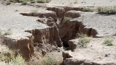 بیشترین جمعیت