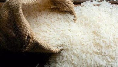 واردات برنج