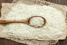 نظارت وزارت جهاد