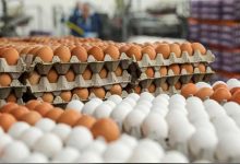 قیمت تخم‌مرغ