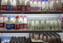 قیمت شیر خام و لبنیات در نشست تنظیم بازار بررسی شد؛ سازمان حمایت پیگیر است