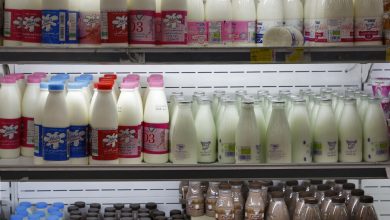 قیمت شیر خام و لبنیات در نشست تنظیم بازار بررسی شد؛ سازمان حمایت پیگیر است