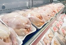 قیمت مرغ در تهران به ۱۶۰ هزار تومان رسید؛ افزایش فشار اقتصادی بر خانوارها