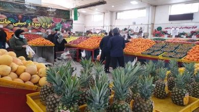 بازار میوه در تهران؛ کدام میوه‌ها در صدر قیمت‌ها قرار دارند؟