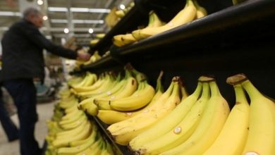 قیمت گوجه فرنگی