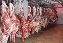 ثبات در بازار گوشت؛ توضیح مدیرعامل پشتیبانی دام درباره قیمت‌ها
