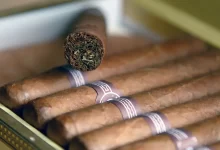 فرار بزرگ مالیاتی: درآمد ۷ ماهه سیگار از جمع ۴ ساله مالیات بر خانه‌های خالی بیشتر است