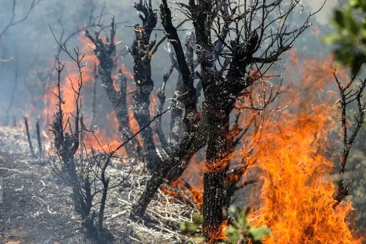 ستاد مدیریت بحران کشور در مازندران تشکیل شد: اقدامات فوری برای مقابله با آتش‌سوزی