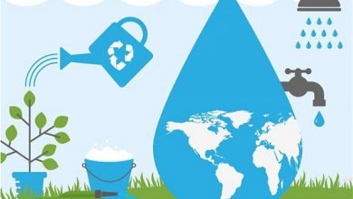 مدیرعامل آب و فاضلاب تهران: مدیریت مصرف، راه‌حل عبور از خشکسالی