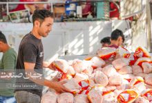 مرغ_+_گوشت_+_معیشت_+اقتصاد_+_کالاهای_اساسی_+_خرید_مردم_+بازار
