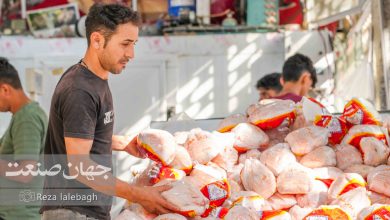 مرغ_+_گوشت_+_معیشت_+اقتصاد_+_کالاهای_اساسی_+_خرید_مردم_+بازار