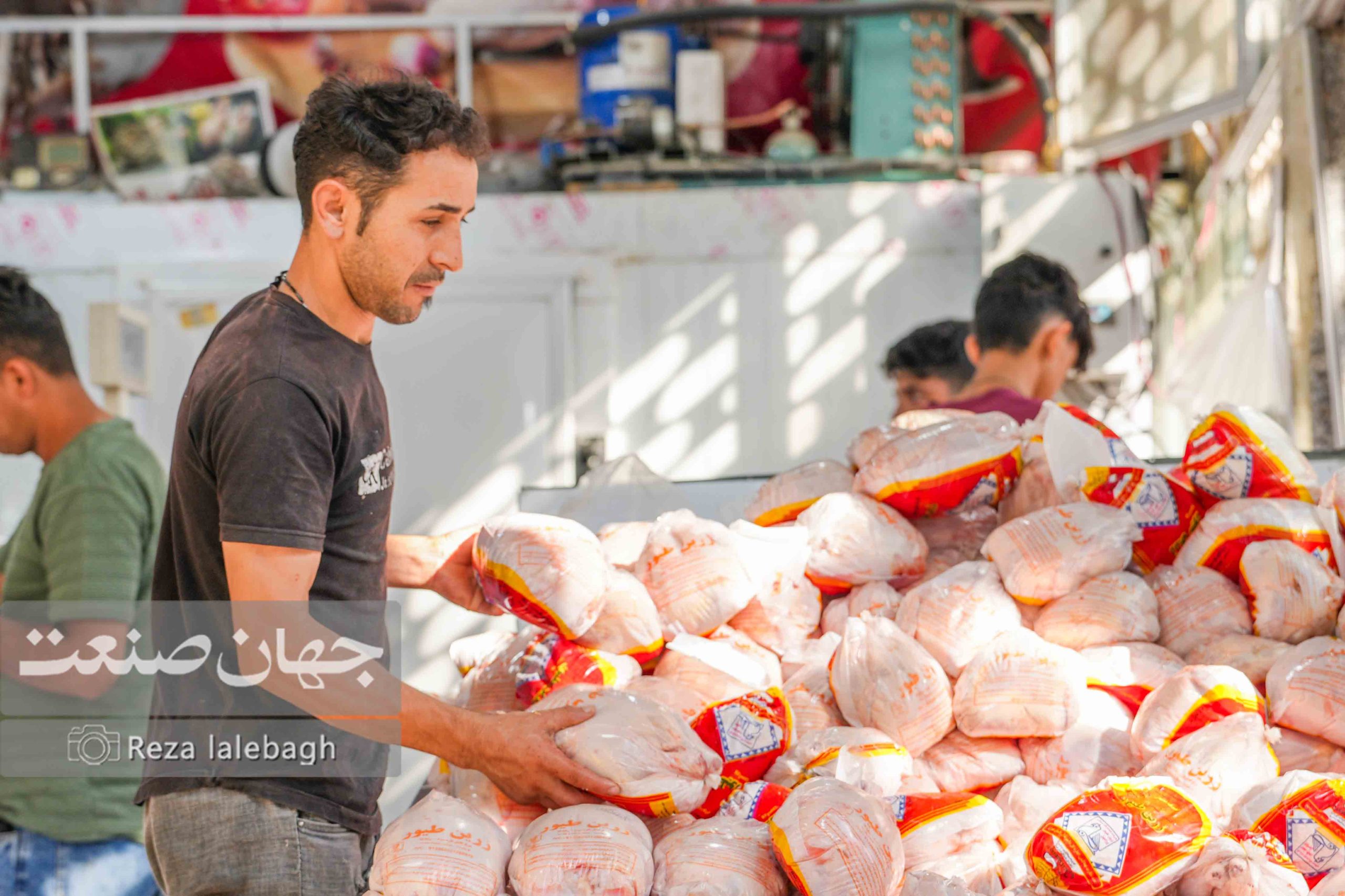 مرغ_+_گوشت_+_معیشت_+اقتصاد_+_کالاهای_اساسی_+_خرید_مردم_+بازار