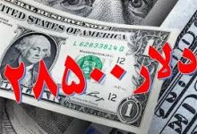 معاون ارزی بانک مرکزی: ارز ترجیحی 28500 حذف نشده است