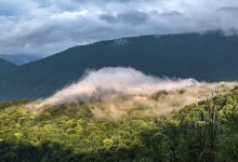 ممنوعیت ورود به جنگل‌ها