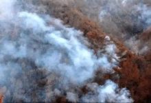 مهار آتش‌سوزی در الیت