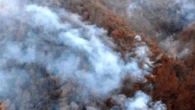 مهار آتش‌سوزی در الیت