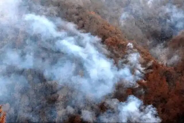 مهار آتش‌سوزی در الیت