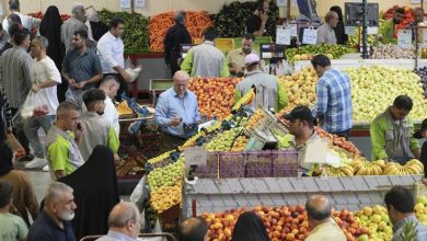 میادین میوه