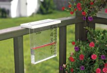 تنها ۳.۵ میلی‌متر بارش در ۵۰ روز گذشته / کاهش بارش به ۱۸ درصد میانگین نرمال