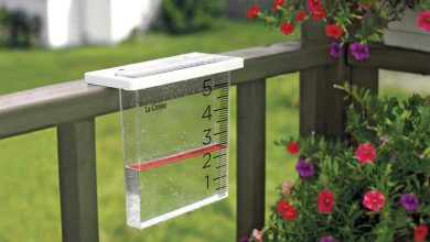 تنها ۳.۵ میلی‌متر بارش در ۵۰ روز گذشته / کاهش بارش به ۱۸ درصد میانگین نرمال