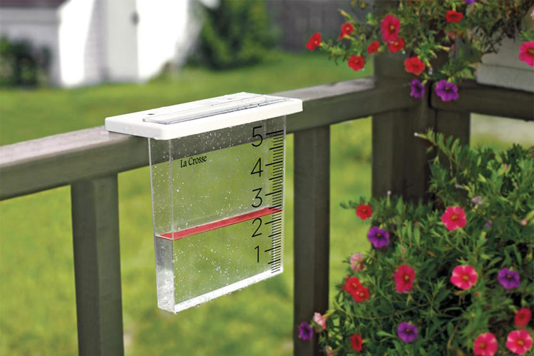 تنها ۳.۵ میلیمتر بارش در ۵۰ روز گذشته / کاهش بارش به ۱۸ درصد میانگین نرمال