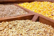 نهاده‌های دامی