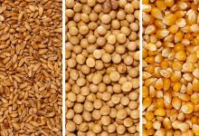 وارد انبارها