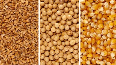 وارد انبارها