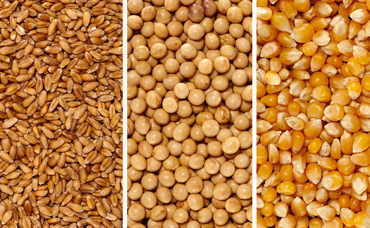 وارد انبارها