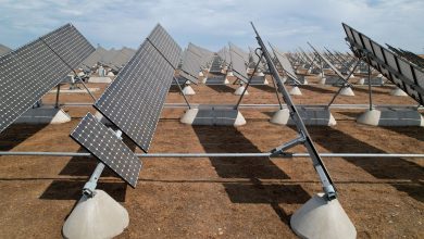 جزئیات طرح ۷۰۰۰ مگاوات نیروگاه خورشیدی؛ ۱۴۰ ساختگاه در سراسر کشور فعال شد