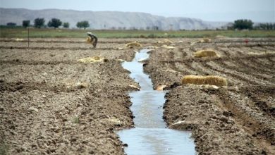 ایران در صدر هدررفت آب جهان | ضرورت بازچرخانی به جای طرح‌های گران انتقال