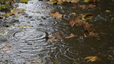 هشدار هواشناسی: بارش باران در ۱۱ استان و تداوم آلودگی هوا در شهرهای صنعتی