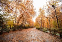 تداوم خشکی و افزایش دما؛ پیش‌بینی دقیق بارش و دمای کشور تا پایان آذر