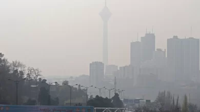 افزایش غلظت